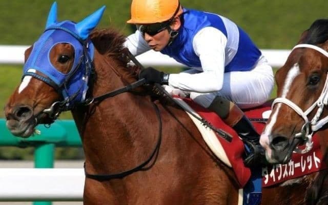 名牝ダイワスカーレットが繁殖引退 11番仔で唯一の牡馬が最後の産駒に