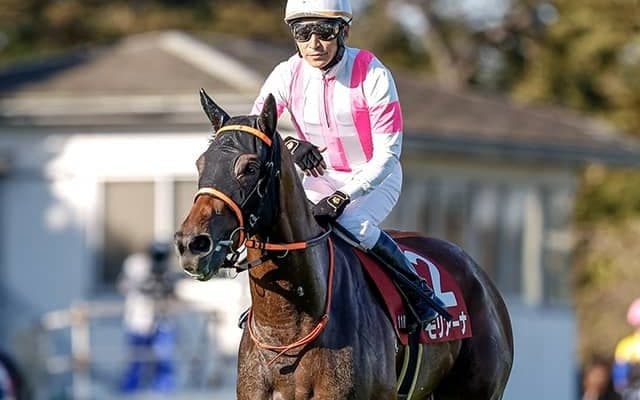 メジロモントレー以来33年ぶりの牝馬Vへ AJCCに紫苑S覇者モリアーナ参戦