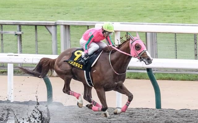 【東海S予想オッズ】オメガギネスが予想1番人気