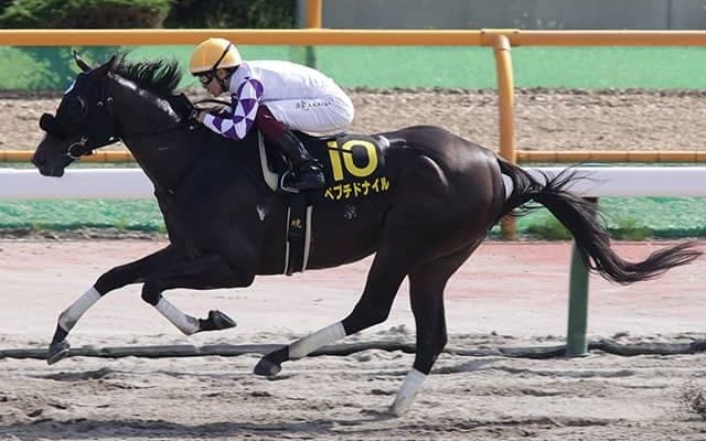前走は59kg背負って勝利 OP3勝馬が東海Sで念願の重賞Vへ