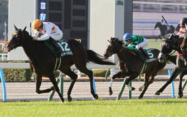 【愛知杯】ミッキーゴージャスが3連勝で重賞初制覇