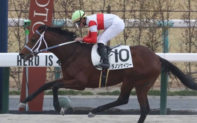 【京都4R/3歳新馬】ジャスティファイ産駒 ダノンケイツーがデビュー勝ち