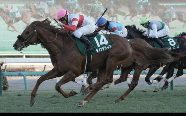 【京成杯】エピファネイア産駒 ダノンデサイルが重賞初制覇