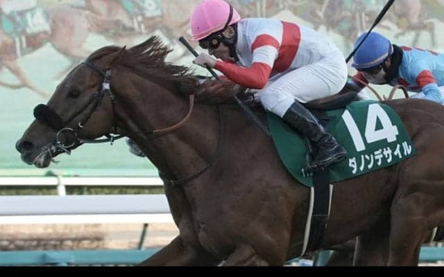 【京成杯】横山典「伸び伸びと良くなっている」ダノンデサイルが重賞初制覇