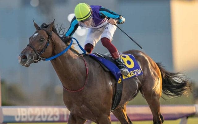 【地方競馬】地方年度代表馬は2年連続イグナイター…NARグランプリ2023