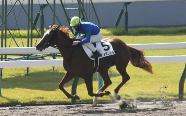 【船橋・ブルーバードC注目馬】いよいよ動き出すダート三冠戦線 “登竜門”を制すのはどの馬か
