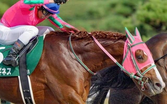 ロゴタイプ産駒のJRA重賞初制覇なるか 東海Sに4戦3勝の砂の新星が参戦