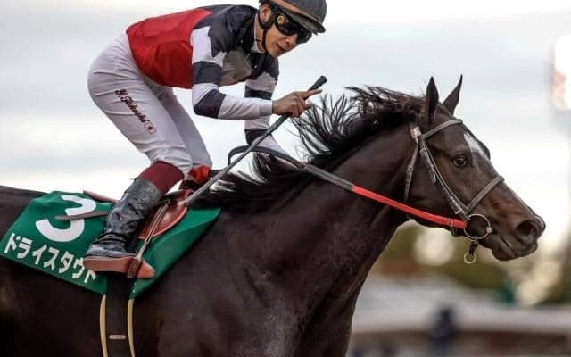 【根岸S想定】ドライスタウト、シャマルなど18頭