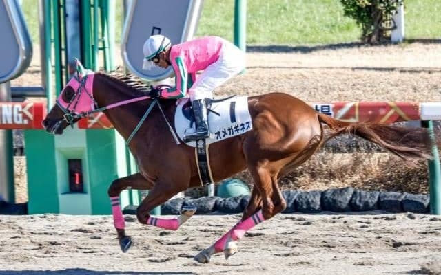 【東海S出走馬・騎手確定】オメガギネス＆戸崎圭太騎手、ウィリアムバローズ＆坂井瑠星騎手など16頭