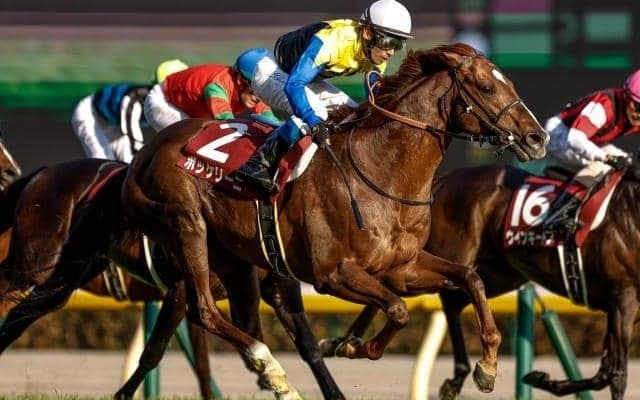 【AJCC出走馬・騎手確定】ボッケリーニ＆浜中俊騎手、モリアーナ＆横山典弘騎手など12頭