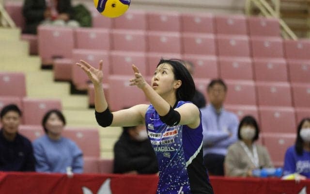 「岡山シーガルズにとっての幕開け」新加入の小松原凜香がもたらすバックアタックという攻撃の選択肢