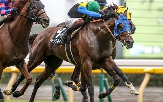 明け6歳で本格化ムード！ 伸び盛りのハーツクライ産駒がAJCCで初タイトル獲得なるか