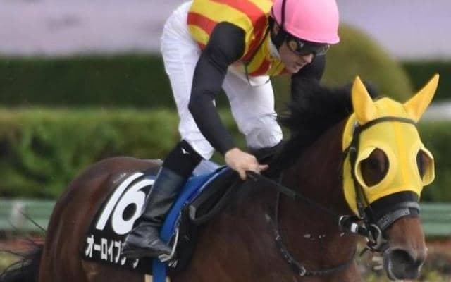 JRAに限れば5戦連続で上がり最速 末脚自慢が東海Sで重賞初Vだ