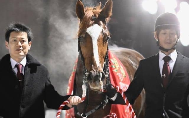 ブルーバードCを制しても羽田盃出走は確実ではない？ アンモシエラに見る3歳馬今年のローテ