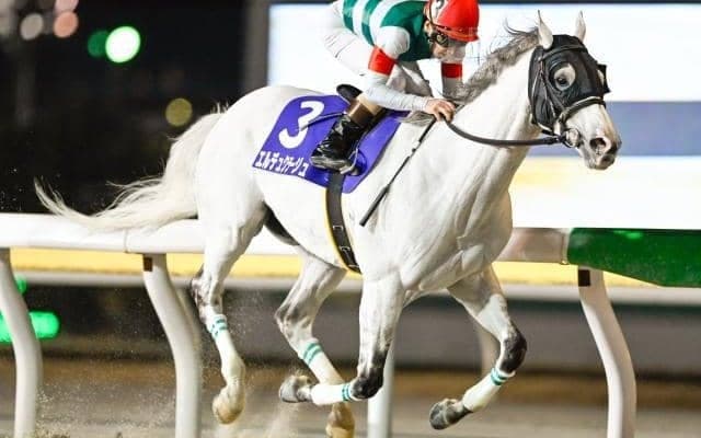 【船橋・報知グランプリC結果】10歳馬エルデュクラージュ 1年ぶりの勝利で重賞2勝目