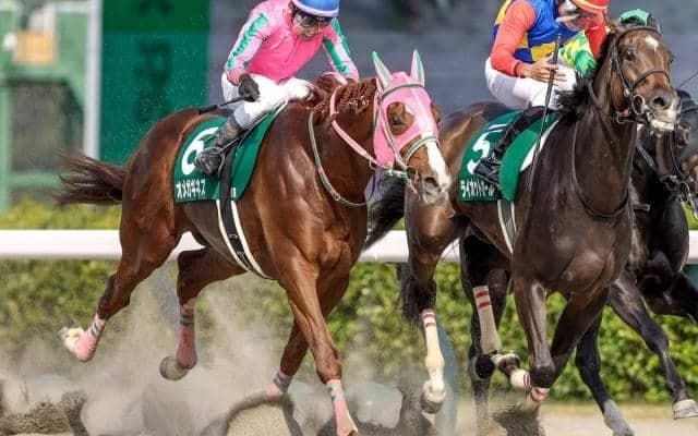 【東海S枠順確定】オメガギネスは5枠10番、ブライアンセンスは7枠13番