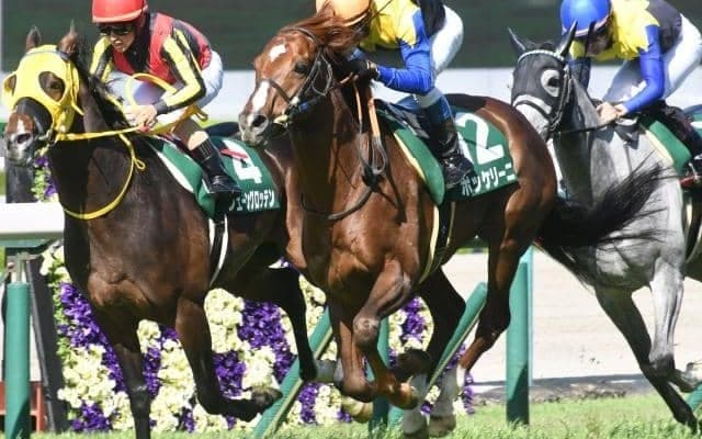 【AJCC枠順確定】ボッケリーニは8枠12番、モリアーナは3枠3番