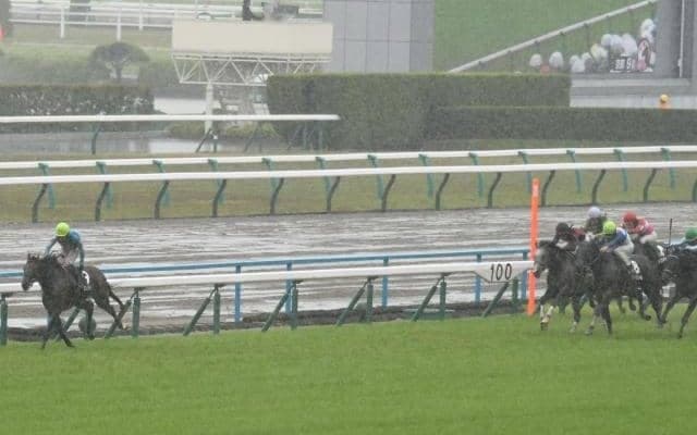 ひさびさに雨予報の京都 道悪馬場なら芝は松山騎手・ダートは米国血統に注目