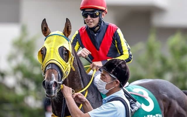 22年ラジオNIKKEI賞覇者フェーングロッテンは小倉大賞典で復帰 昨年末に去勢手術