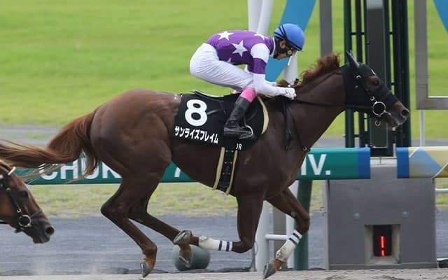 【根岸S想定馬・騎手】サンライズフレイム、シャマルなど14頭