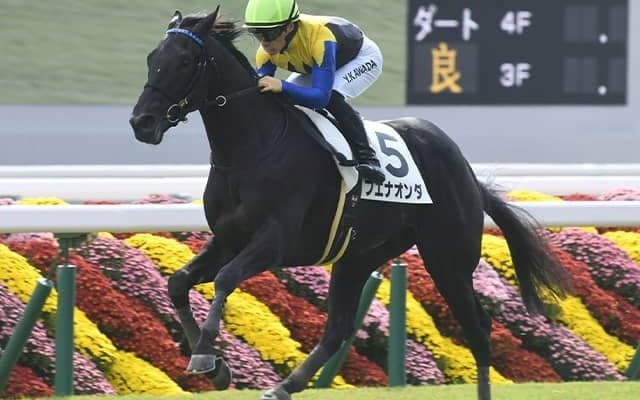 金子真人オーナーが若駒S7勝目なるか 05年にはディープインパクトでV