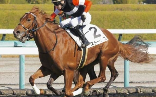 3億円馬ストーンズが若駒S参戦 勝利すれば“クラシック超有力”候補に
