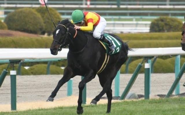 【シルクロードS想定馬・騎手】アグリ、オタルエバーなど20頭