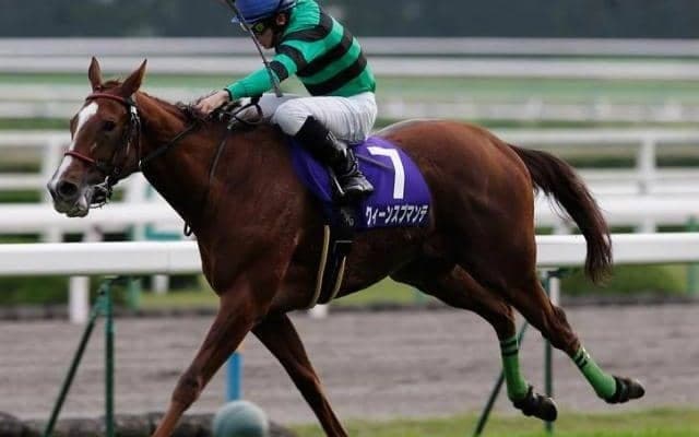 一族には個性的な名馬 エ女杯154万馬券の主役の仔がデビュー戦