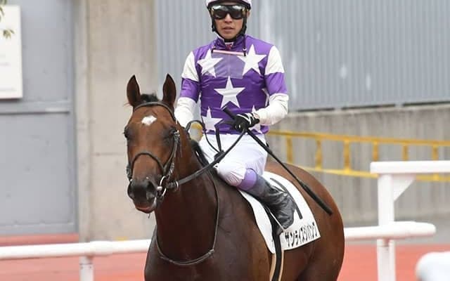 【今日の注目ポイント】出世レースの若駒SにGI・3着のサンライズジパングが登場