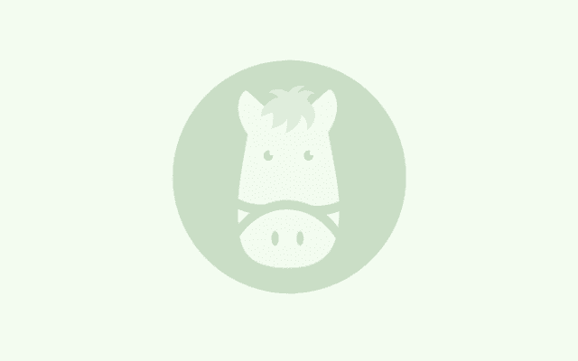 【装蹄師・西内荘コラム】AJCCショウナンバシットに期待