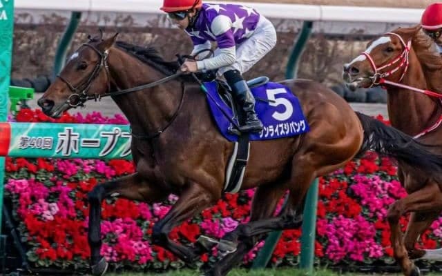 若き芝ダート二刀流 若駒Sで武豊騎手と再タッグ…賞金加算なるか