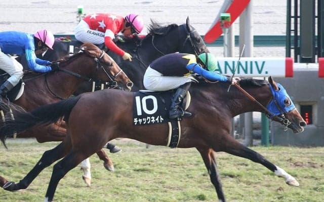 AJCCは極端な道悪馬場を想定 その適性を秘める「上がり馬」に一発の魅力