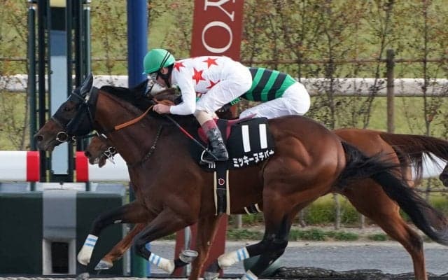 東海Ｓの注目は２頭の６歳馬 「京都ダート1800ｍ」でのレースを血統で分析
