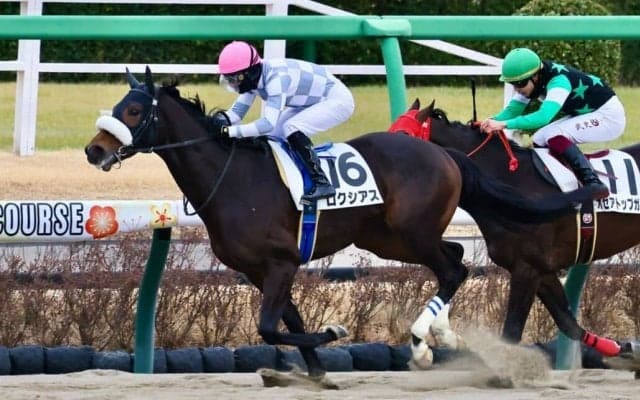 【中山2R】ルメール騎乗、ロクシアスがダート替わりで初勝利