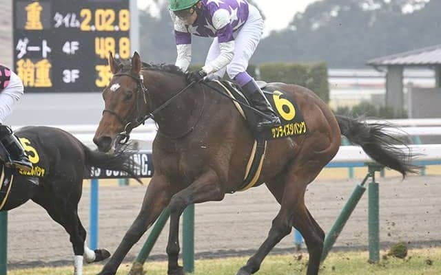 【若駒S結果】武豊騎手＆サンライズジパングが突き抜け完勝！