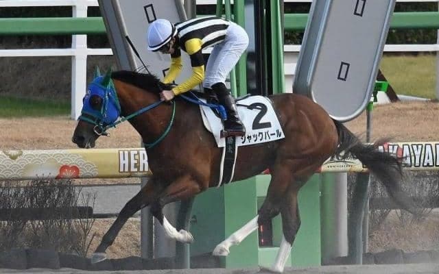 中山8Rで3連単710万超えの大波乱 10番人気→13番人気→11番人気で決着