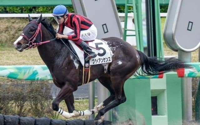 【東海S予想】前走オープン以上の出走馬が強さを見せる！ 条件戦からの参戦に求められる好走の条件は