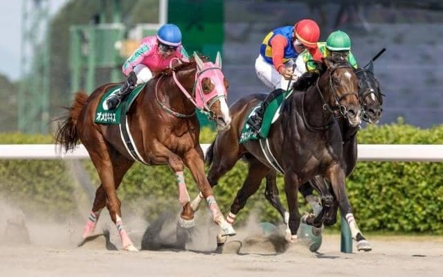 【東海S前日オッズ】オメガギネスが2.0倍で1番人気