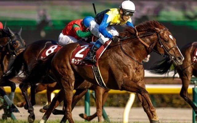 【AI予想・AJCC】道悪ならば欧州向きの種牡馬に要注意!? 総合力の高さが際立つベテランに期待