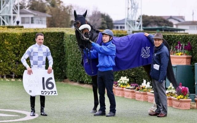【中山2R】ルメール「上でもやれる」ロクシアスがダート替わりで初勝利
