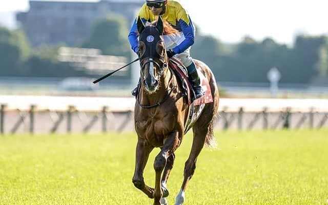 【今日の注目ポイント】中山でAJCCと京都で東海Sの2重賞