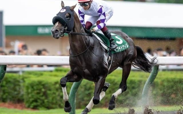 【東海S予想】今年は京都で行われるフェブラリーS前哨戦 GIへの直行切符を手にするのは？