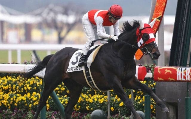 AJCCは人気落ちの実力馬２頭に注目　荒れ馬場を味方に大駆け期待