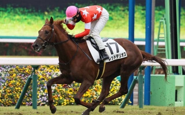 【新馬/中山6R】ジャスタウェイ産駒 レッドテリオスが差し切り勝ち