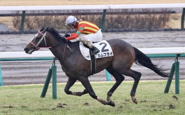 【中山5R】キングスコートがJRA初勝利…カムフライで抜け出す