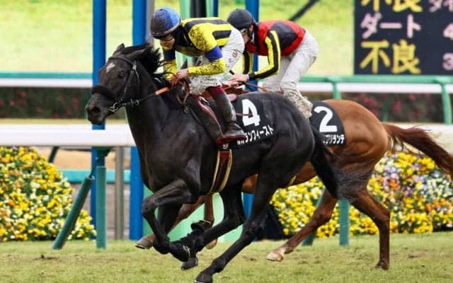 【若竹賞】ルカランフィーストが大外から力強く突き抜け2勝目