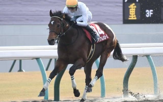 【東海S結果】ウィリアムバローズが押し切り重賞初制覇