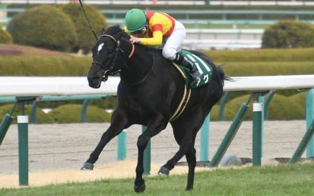 【シルクロードS】アグリ、オタルエバーらが登録