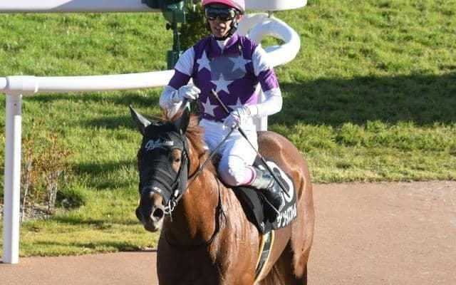 【根岸S】サンライズフレイム、シャマルらが登録