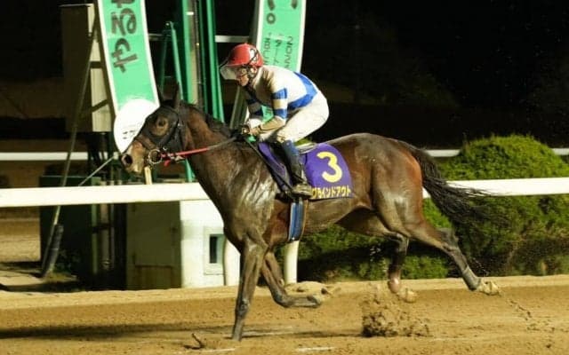 【佐賀・花吹雪賞】グラインドアウトが8馬身差圧勝…赤岡「気持ちよかったです」